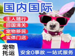 南阳姜营机场空运国际宠物托运 【国